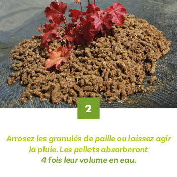 Granulés de paille, le couvre-sol écologique 