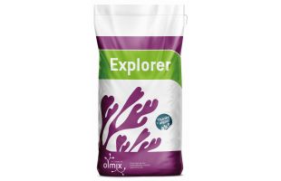explorer 1