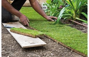 Gazon de placage Ornement - Prix départ au m²