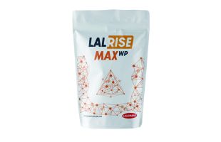 Lalrise max WP - Sachet 200g