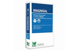 Magnisal Mag 11-0-0 +16MG0 - 25kg