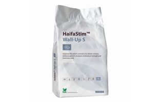 Wall-Up – 1kg