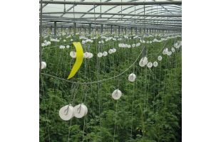 Crochet Roller métal ficelle biodégradable 12m - 350 unités