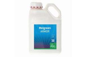 Melgreen Armor – 5L