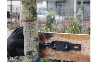 Collier de tuteurage bipode