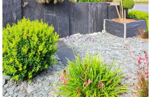 Palis de schiste clivé