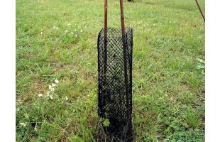 Gaine de protection plants - 100 pièces