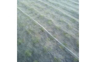 Voile hivernage VNT19