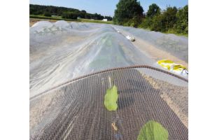 Filet climatique Filclimat