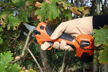 Bien choisir son sécateur pour  un usage intensif  